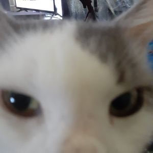 Meet your Posher, Cheryl